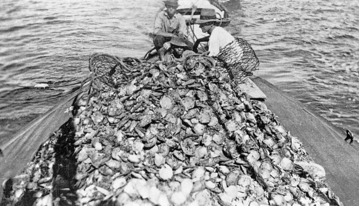 Image of a boat with a haul of pearlshell on deck